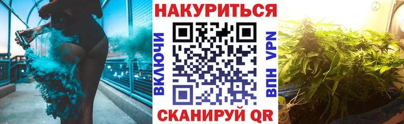 Марихуана конопля сколько стоит Питкяранта